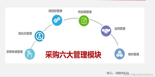 優(yōu)秀采購管理的七大核心流程與模塊 一張圖掌握所有干貨（含高風(fēng)險(xiǎn)運(yùn)動(dòng)項(xiàng)目專項(xiàng)解析）